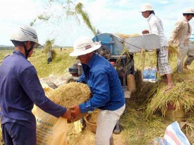 10 tháng xuất nhập khẩu nông sản: Gạo, sắn mất thế thượng phong