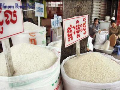 Sang Campuchia học làm thương hiệu gạo