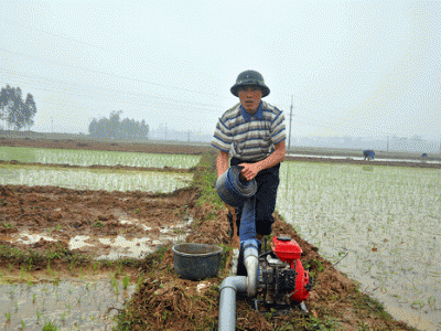 Băn khoăn với giá dịch vụ thủy lợi: Làm rõ hơn tác động tới nông dân