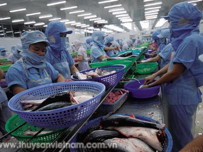 Cá tra hưởng lợi lớn từ Việt Nam – EAEU