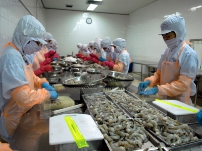 Ca Mau strives to earn 1.1 billion USD from aquatic export this year