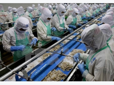 Vietnam enjoys strong growth in shrimp exports to RoK