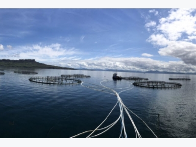 Aquaculture equipment providers form new JV