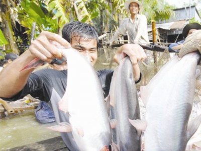 Vietnam sees great opportunities to boost catfish exports