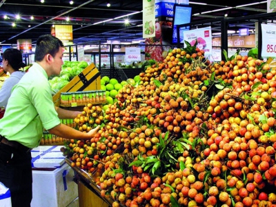 Hanoi project yields fruit for consumers