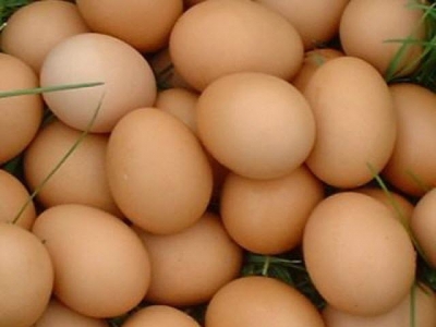 Canxi, nhân tố chính ảnh hưởng đến chất lượng vỏ trứng