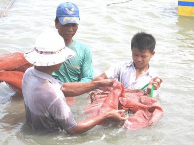 Agriculture ministry advises boosting shrimp farming