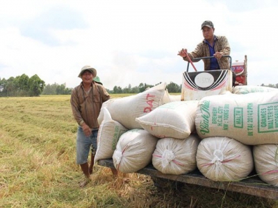 Vietnamese traders win deal to export 29,000 tons of rice to Philippines