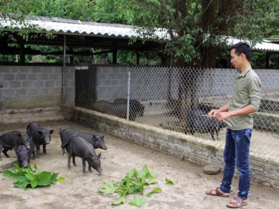 An 8X guy started up with the model of clean food production