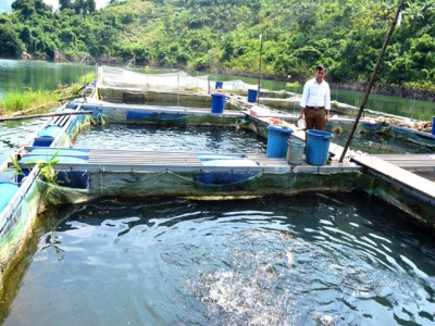Fish cage farming has changed the lives of the lakeside residents