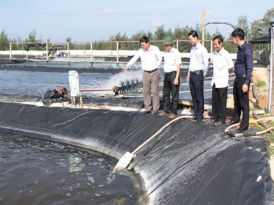 Nuôi tôm thâm canh hai giai đoạn