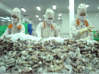 Intensive processing helps Vietnamese shrimp gain competitive edge