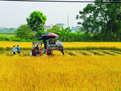 High-tech boost vital for Vietnams farming in 21st century