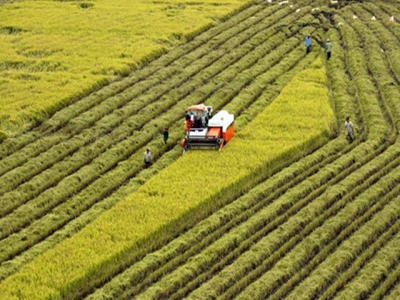 Hậu Giang, RoK link up on farm tech