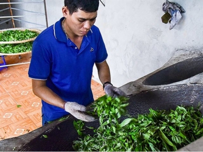 Ethnic minority farmer brings tea trade online