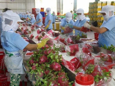 Fruit and vegetable exports to major markets continue with downtrend