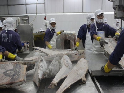 Tuna export decrease in many markets