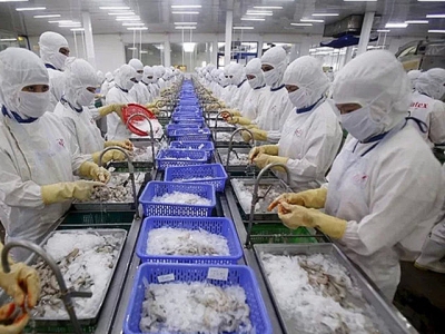 US reduces anti-dumping duties on Vietnamese pangasius