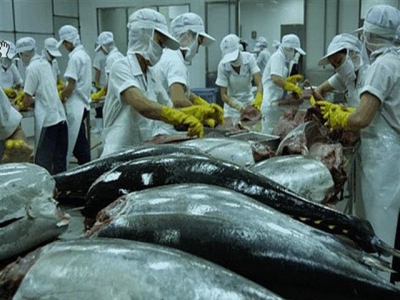 Tuna exports endure sluggish growth