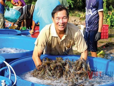 Can Vietnamese shrimp exports hit US$4.2 billion?