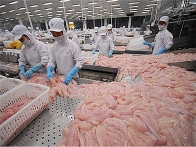 Pangasius exports plunge in many markets