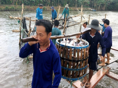 Mỹ tiếp tục là thị trường xuất khẩu thủy sản lớn nhất của Việt Nam