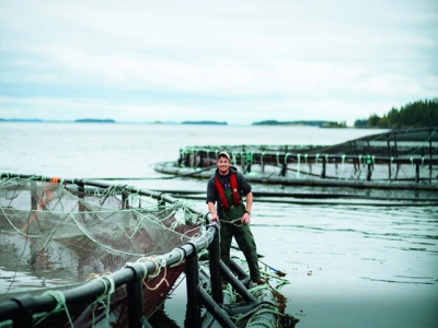 Salmon farmers challenge escape claim hyperbole