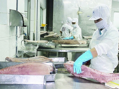 Seafood export orders see sharp increase after EVFTA took effect