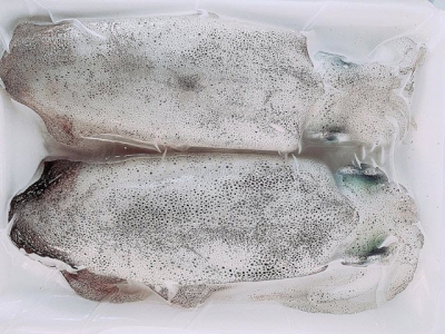Exports of squid to China nearly double