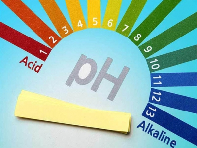 Lý do pH thay đổi giữa buổi sáng và buổi chiều