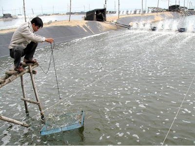 Seafood exports on the decline