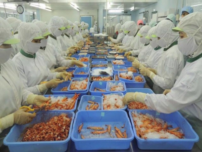 Seafood production in south tumbling