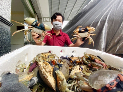 Seafood market slowly makes its comeback