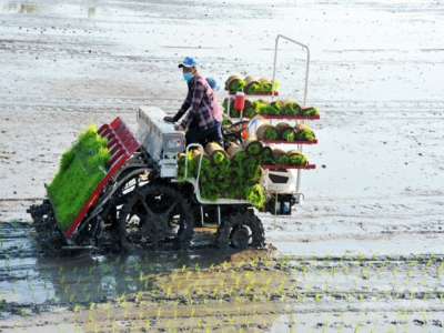 Ensuring a successful autumn-winter crop
