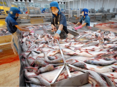 Tra fish strongly shifted to the Middle East market