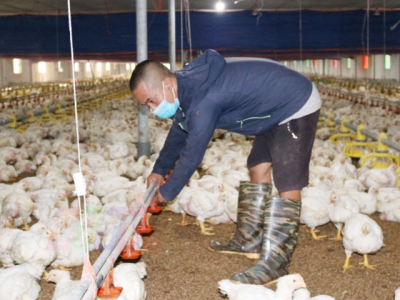 The readiness for integration of the poultry husbandry sector