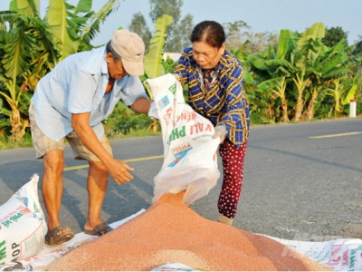 Fertilizer prices skyrocket, farmers in distress