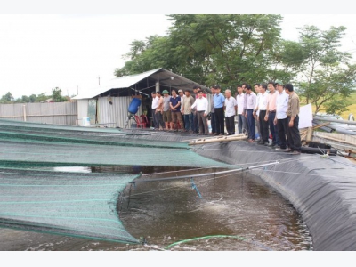 Hiệu quả từ các mô hình nuôi tôm công nghệ cao trên địa bàn huyện Vĩnh Linh, Quảng Trị