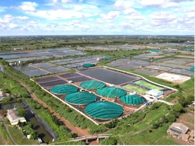 Bí quyết của tỷ phú tôm đất cù lao