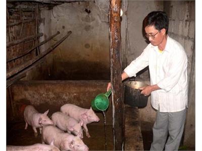 Chuyện Về Một Người Mù Làm Kinh Tế Giỏi