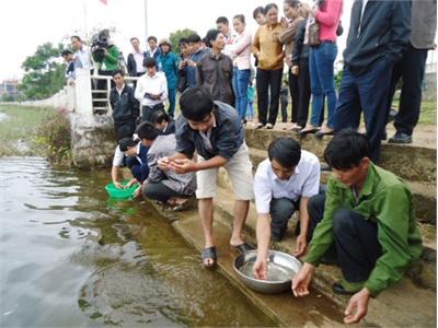 Tăng Cường Hoạt Động Tái Tạo Nguồn Lợi Thủy Sản