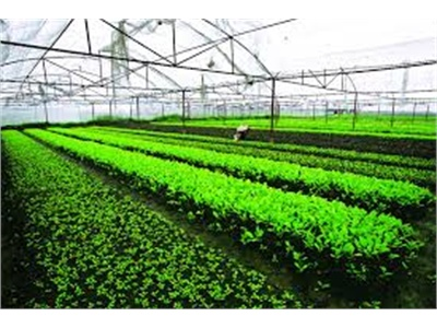 Hỗ Trợ Đầu Ra Cho Sản Phẩm Sạch