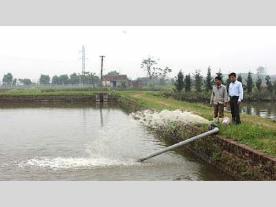 Chuẩn Bị Giống Thuỷ Sản Nước Ngọt Cho Vụ Nuôi Năm 2014