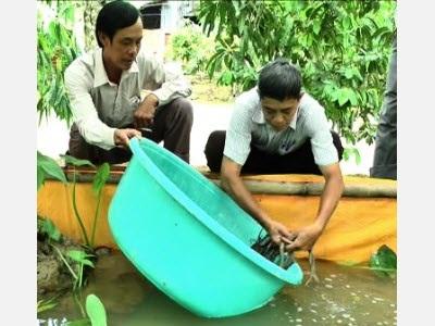 Chuyển Giao Kỹ Thuật Sản Xuất Và Ương Lươn Giống