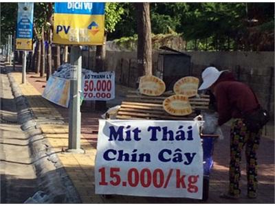 Cẩn Thận Với Mít Thái Chín Cây