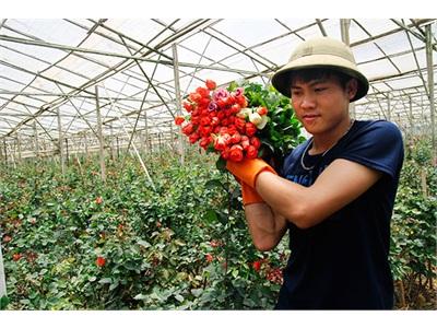Cần Quan Tâm Phát Triển Nguồn Nhân Lực Nông Nghiệp Công Nghệ Cao
