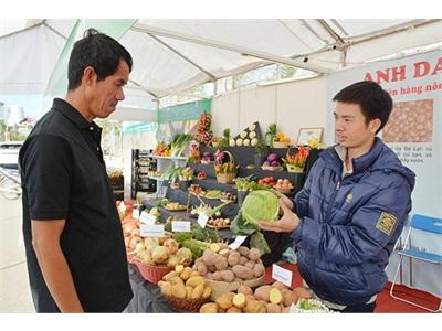 Trưng Bày So Sánh Rau Đà Lạt Và Trung Quốc