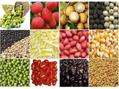 Mặt Hàng Nông Sản Xuất Khẩu Của Lâm Đồng Không Bị Nhiễm Dư Lượng Dioxin
