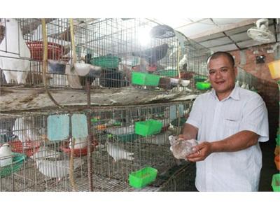 Dũng Bồ Câu Và Hành Trình Trở Thành Ông Chủ