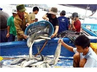 Gần 486 Ha Đầm Phá Được Bảo Vệ, Phát Triển Thủy Sản